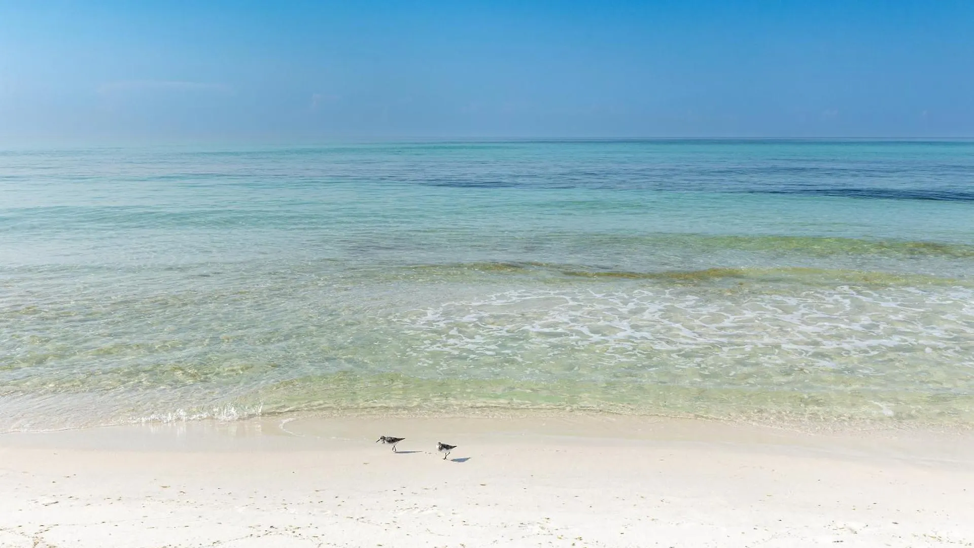 Sandpiper Cove 9203- By Holiday Isle Properties Destin Apartment
