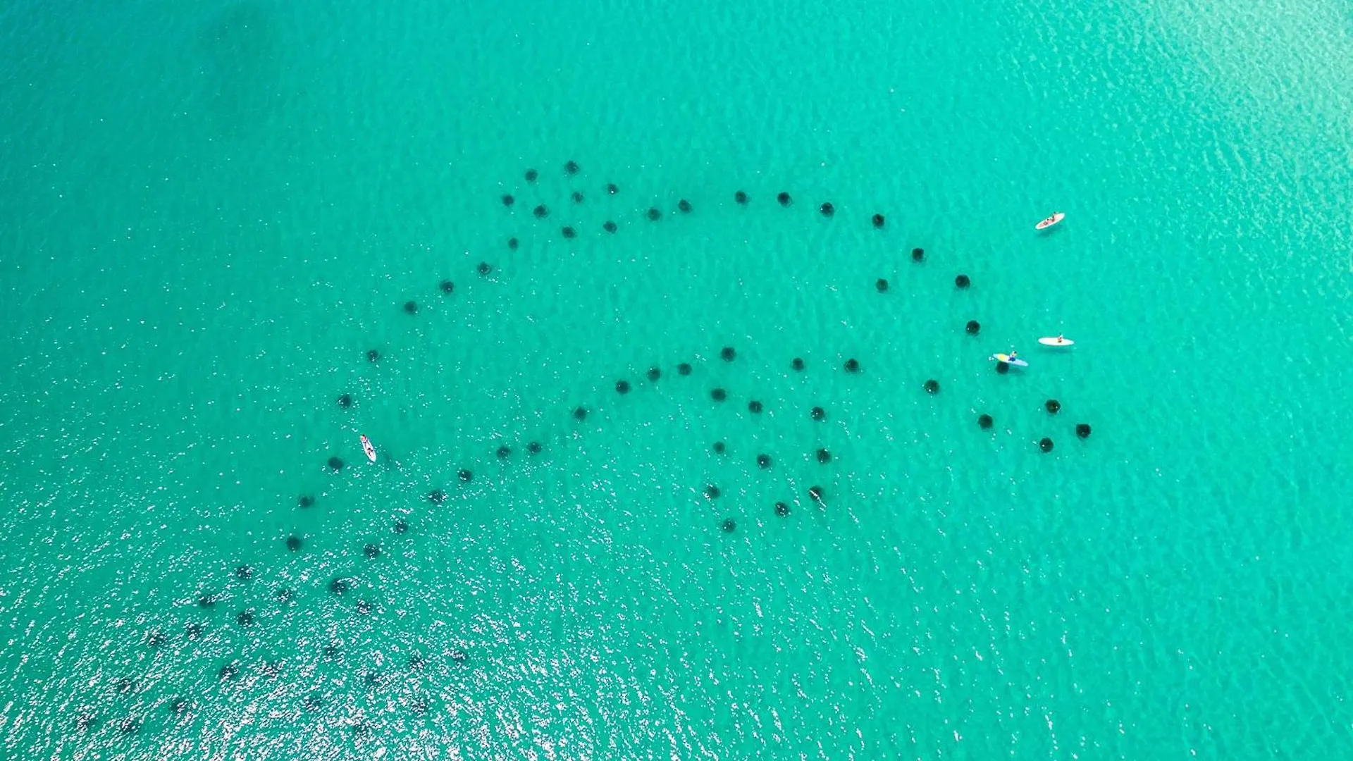 Sandpiper Cove 9203- By Holiday Isle Properties Destin United States